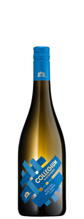 Collegium Edition Wirtemberg Riesling trocken Alte Reben 0,75l