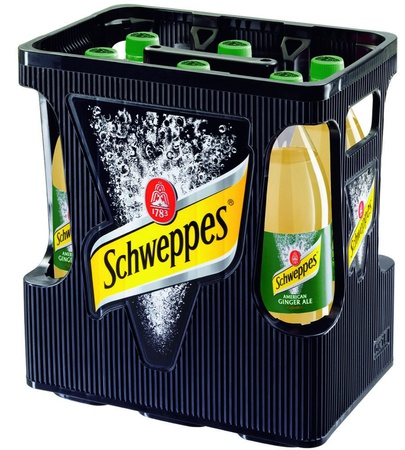 Schweppes Ginger Ale 6x1,0l PET