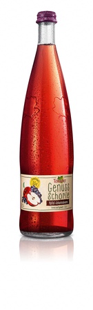 Teinacher Genuss Schorle Apfel Johann 12x0,75l