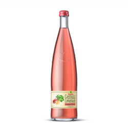 Teinacher Genuss Limonade Rhabarber-Mirabelle 12x0,75l
