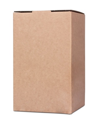 Punica Apfelschorle Bag in Box 10l (gegen Vorbestellung)