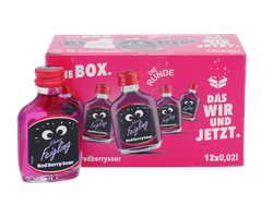 Kleiner Feigling Red Berry Sour 12x0,02l