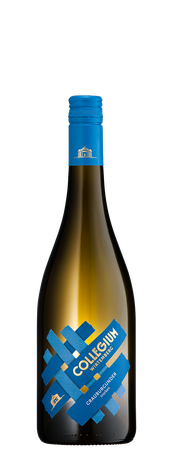 Collegium Edition Wirtemberg Grauburgunder trocken 0,75l