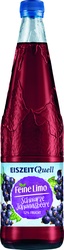 Eiszeitquell Feine Limo Schwarze Johannisbeere 9x0,75l