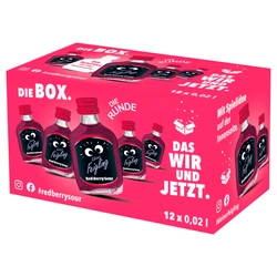 Kleiner Feigling Red Berry Sour 12x0,02l