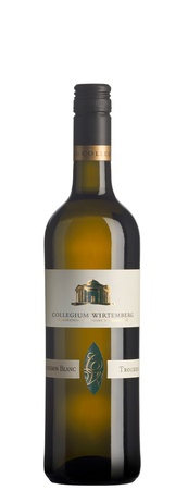 Collegium Edition Wirtemberg Sauvignon blanc 0,75l